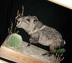 Picture2.jpg