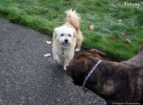IMG_7329_Timmy-e-min.JPG