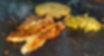 Carnes Asadas