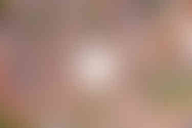 פלמאנובה איטליה מבט עילי