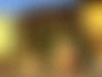 העיירה טורי דל בנאקו אגם גארדה