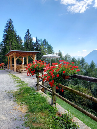 הנוף מבקתת אלפנרוזה דולומיטים איטליה