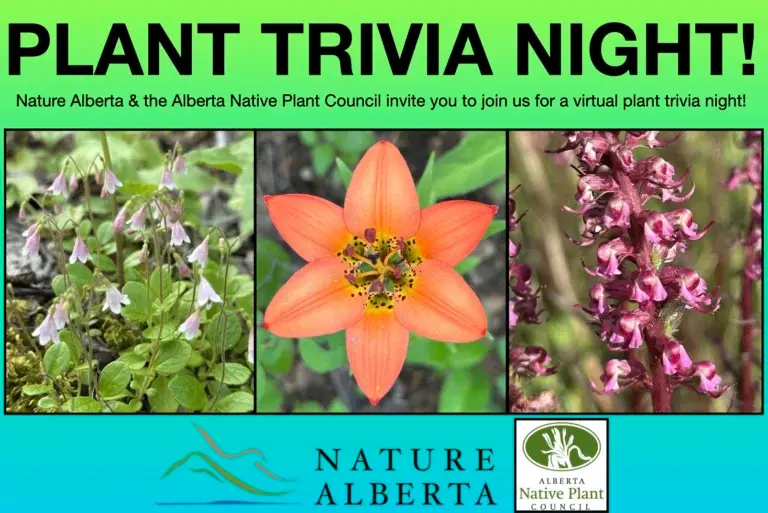 Plant Trivia Night