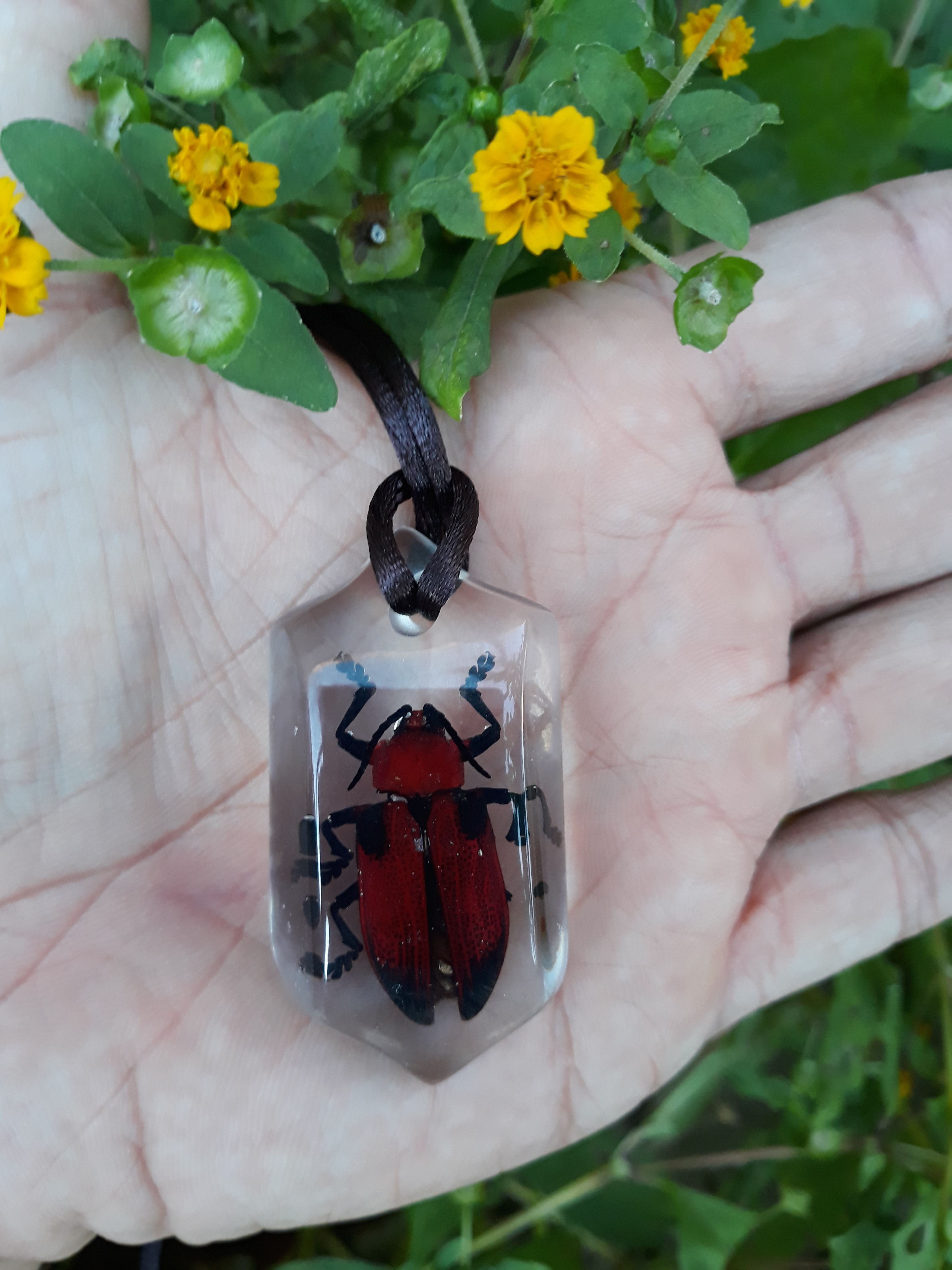 Red Titan
