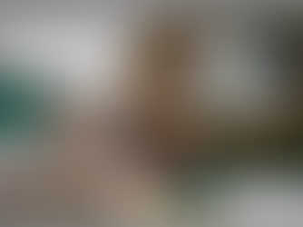 Dev Blog - Week 239
