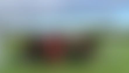 FC Walheim E2 mit gutem 5. Platz