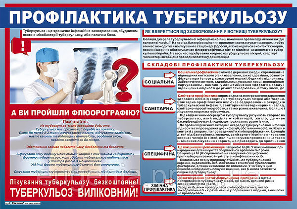туберкульоз.jpg