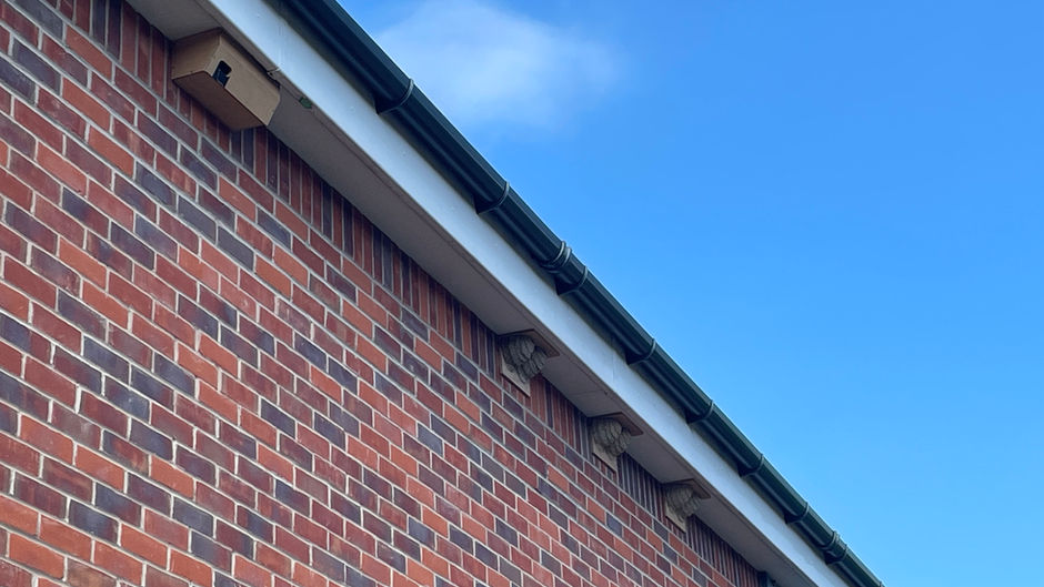 New nesting site for House Martins and Swifts.