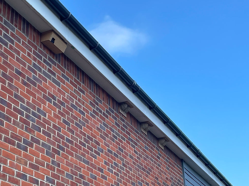 New nesting site for House Martins and Swifts.