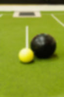 short mat bowls.jpeg