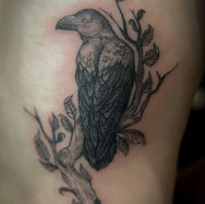 Parlour Eleven Tattoo