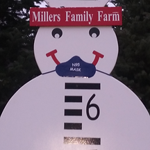 20201125_161252_edited.png