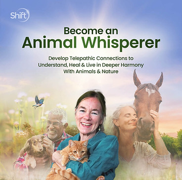 Animal Whisper.jpg