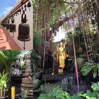Thailand's elephant culture