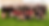 EPP_3486_edited.png