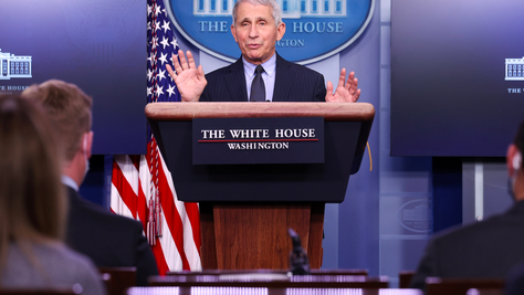 Beagle Gate: The Ruff Allegations Against Dr. Fauci and his NIAID Division 