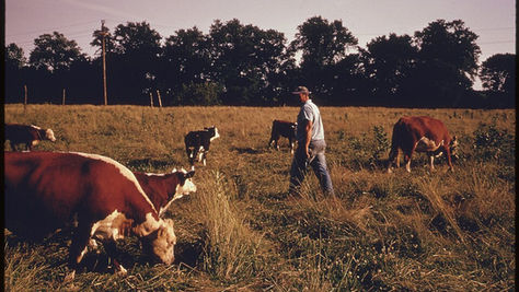 Rural America Faces Rising Suicide Rates Amid Persistent Financial Losses
