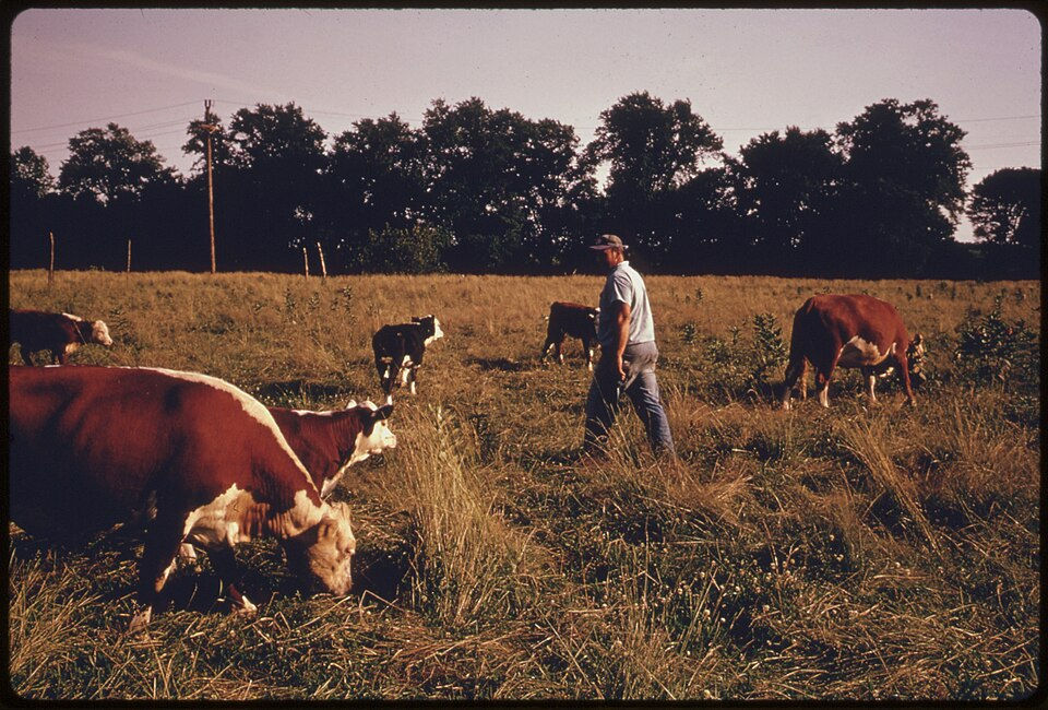 Rural America Faces Rising Suicide Rates Amid Persistent Financial Losses