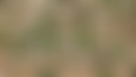 Mozambique Floods Leave Thousands Displaced