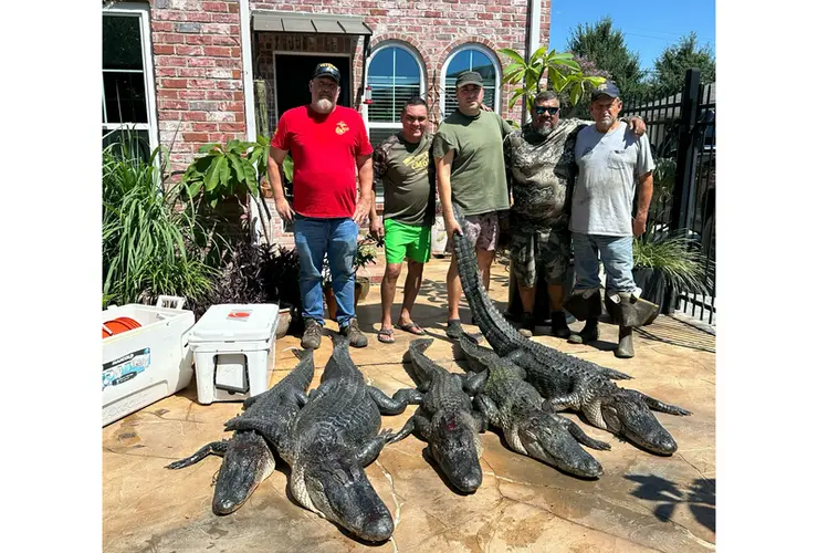Louisiana Gator Hunt