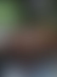 LOS OSTIONEROS DE BUCERÍAS CAMPEONES EN LA LIGA LA ÚLTIMA PATADA