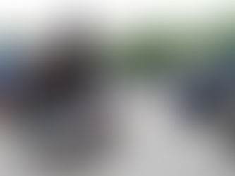 EN SEGURIDAD TODA LA CARNE AL ASADOR