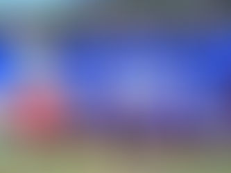 PARQUE HIDALGO DIÓ LA SORPRESA DE SORPRESAS