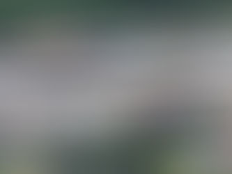 LO QUE LE ESPERA EN EL FUTURO A PUERTO VALLARTA EN MOVILIDAD VIAL