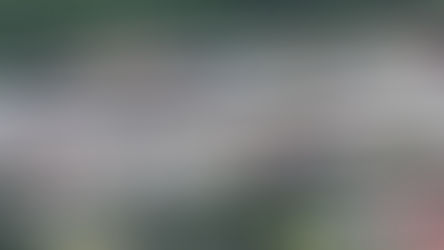 LO QUE LE ESPERA EN EL FUTURO A PUERTO VALLARTA EN MOVILIDAD VIAL