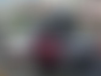 AMLO MILITARIZA, EL PROFE MICHEL LO CONTRARIO