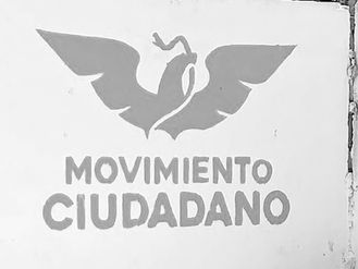 POLITICOS EN LA REVOLVEDORA
