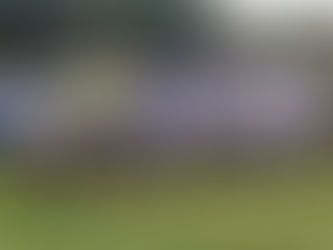 PELONES DE LAS JUNTAS Y MULOS DE LA EXPERIENCIA POR EL TÍTULO