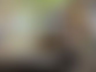 Ya Merito: SEAPAL Vallarta