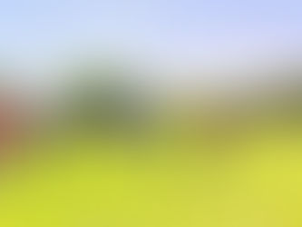 THE ONE REGRESA AL TRIUNFO GANÓ A MAFEVA CAZADORES