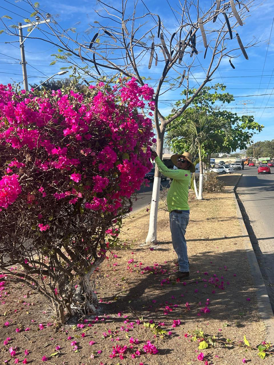 SISEP Continúa con los Trabajos de Embellecimiento del Municipio