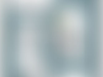 BUSINE$ NAVIDEÑO?...