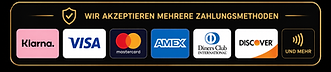 Bei Lusitano Global Academy akzeptieren wir sichere und flexible Zahlungsmethoden wie Klarna, Visa, Mastercard, Amex, Diners Club und weitere internationale Zahlungsoptionen für unsere Sprachkurse, Premium-Programme und Online-Unterrichtsdienstleistungen.