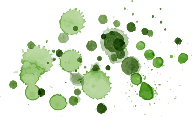 Watercolor Stain   _edited.png