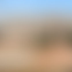 6705 Polo Farms Drive