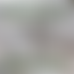 Preparing for the Ice Storm