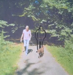 De dag van de ouderen