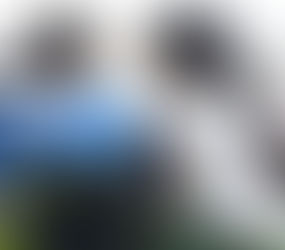 Grupo Cooperativo 2º A