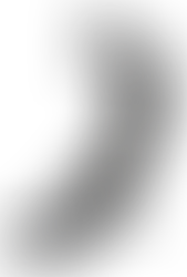 Pied AllPro FILLAUER