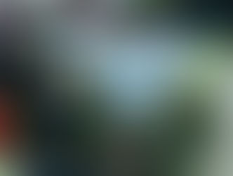 MÁSTER DE FORMACIÓN DEL PROFESORADO (UMU) Y EL IES “FELIPE DE BORBÓN"