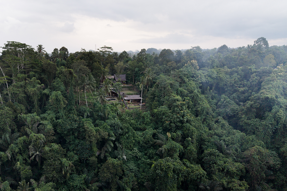 ubud-jungle-activities-tegalalang-rice-terraces-bali
