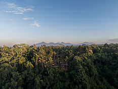 DJI_20260415064615_0060_D.jpg