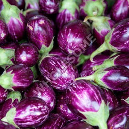 Solanum melongena (specific variety)