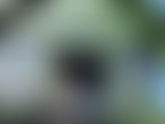 Spännande samarbete