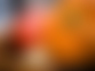 A ‘Wholefood’ Approach to Prenatal Nutrition