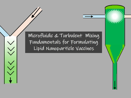LNP Formulation Complexities